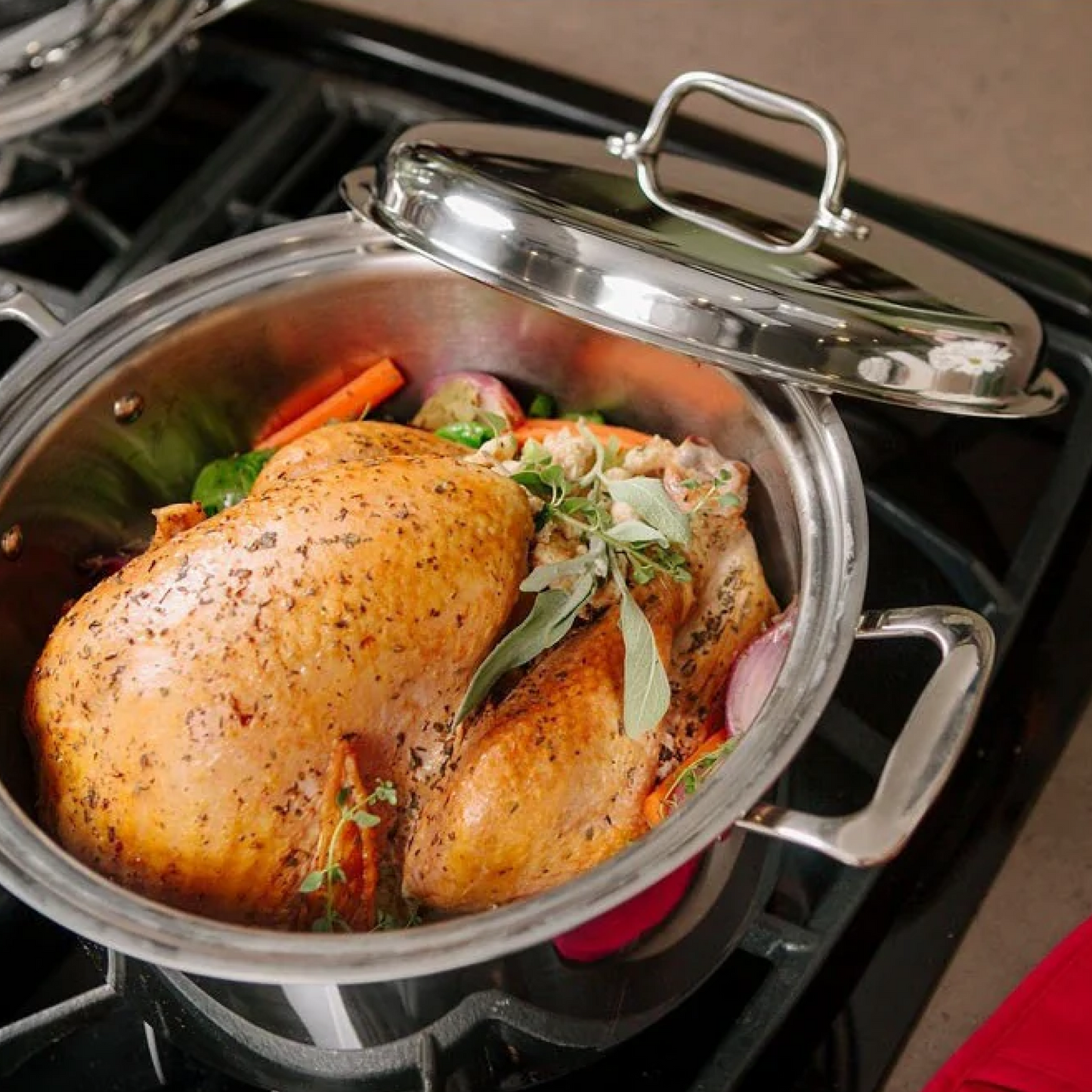 360 Cookware 8 Quart Stockpot