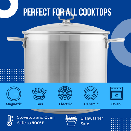Chantal Induction 21 Steel Stockpot with Lid (12 Qt.)