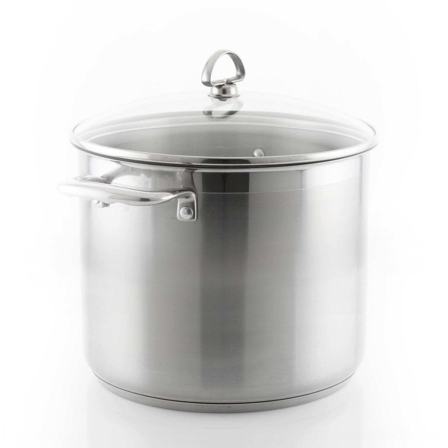 Chantal Induction 21 Steel Stockpot with Lid (12 Qt.)