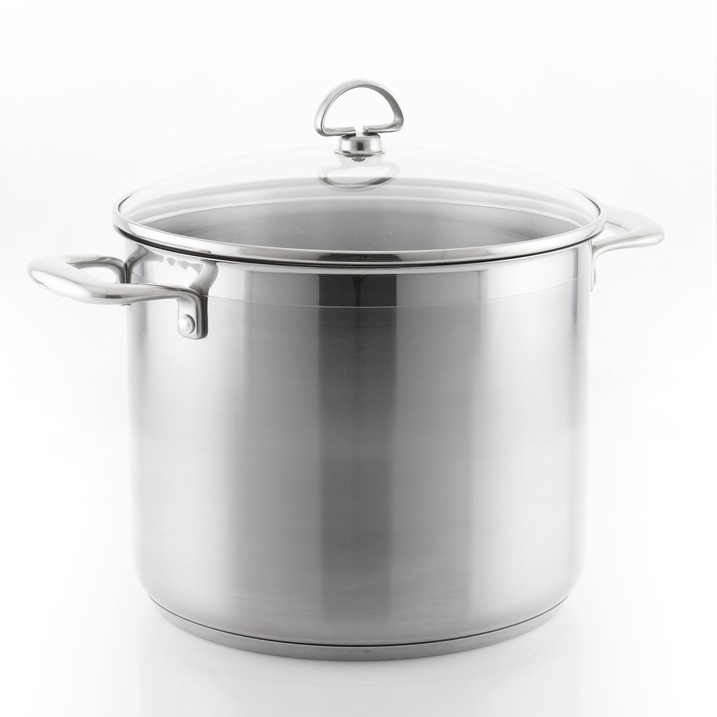 Chantal Induction 21 Steel Stockpot with Lid (12 Qt.)