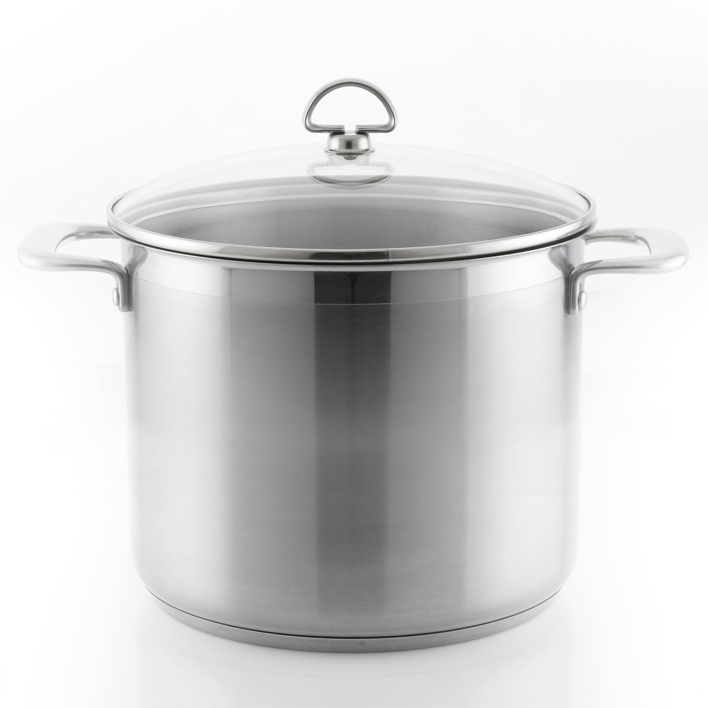Chantal Induction 21 Steel Stockpot with Lid (12 Qt.)